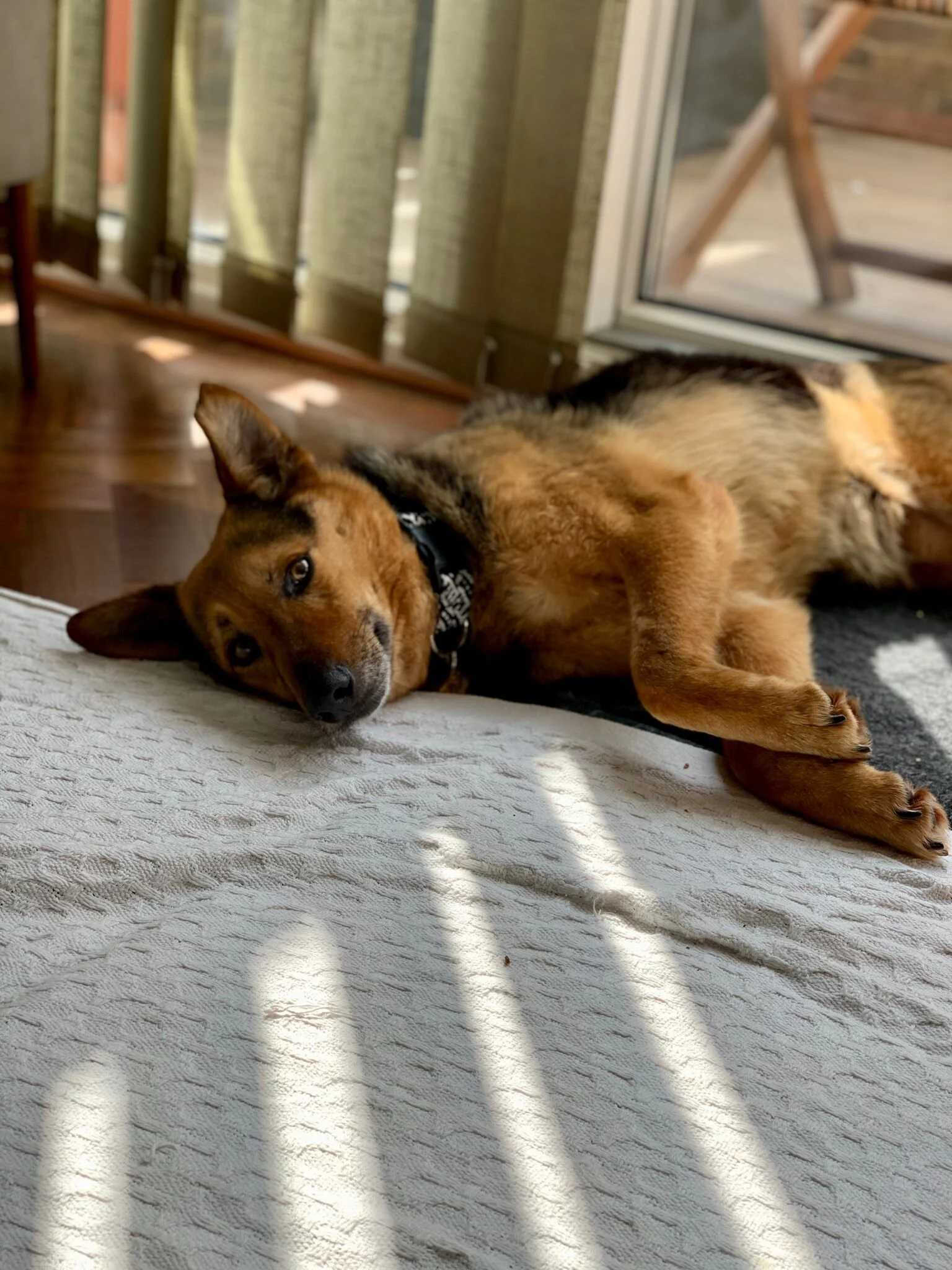 093B8C77-985E-4D44-8FEC-80D21BAF27EB