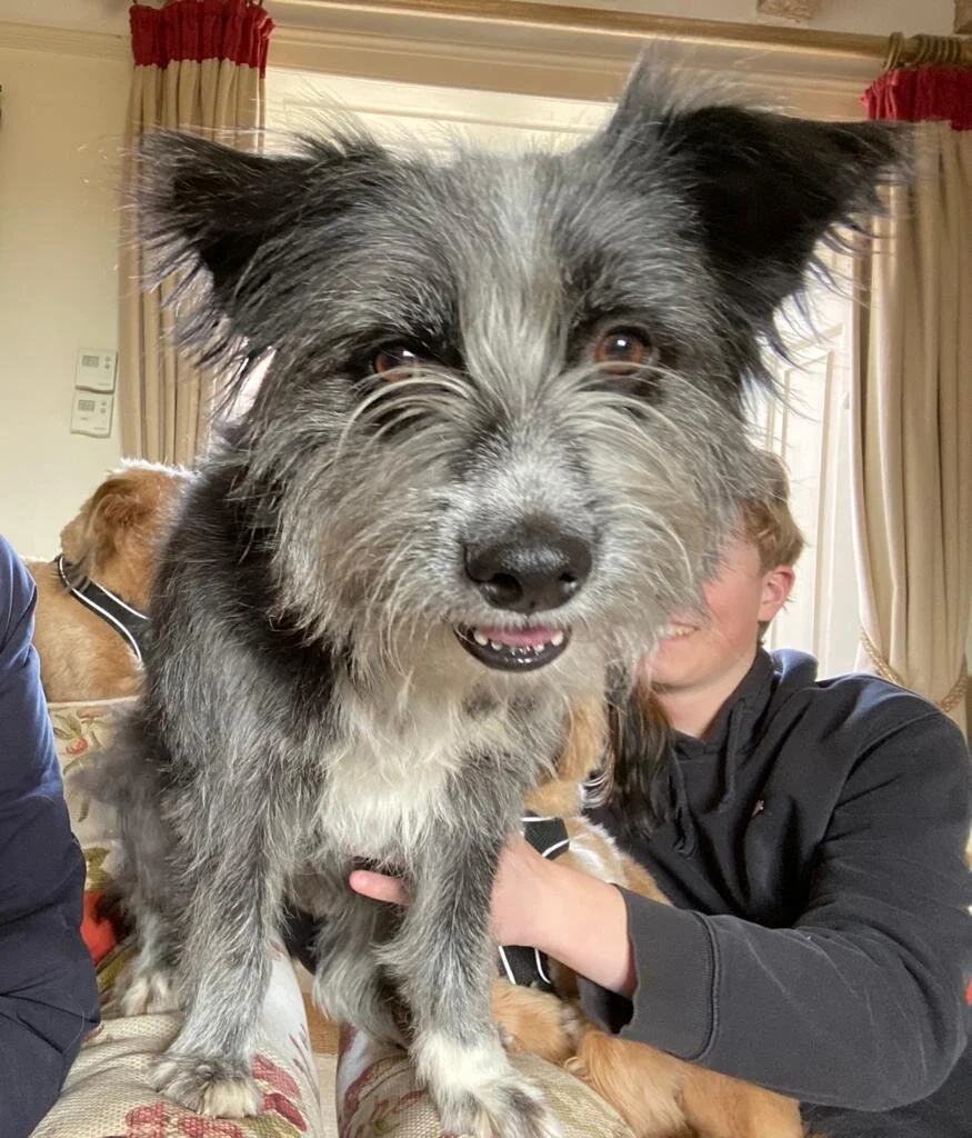 1EE1C1AA-9361-47D9-8459-FEE2F1936E74