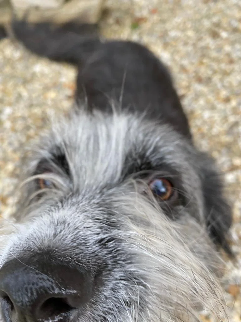 E321C00D-48AA-44A1-9592-CEFF448AEF5E