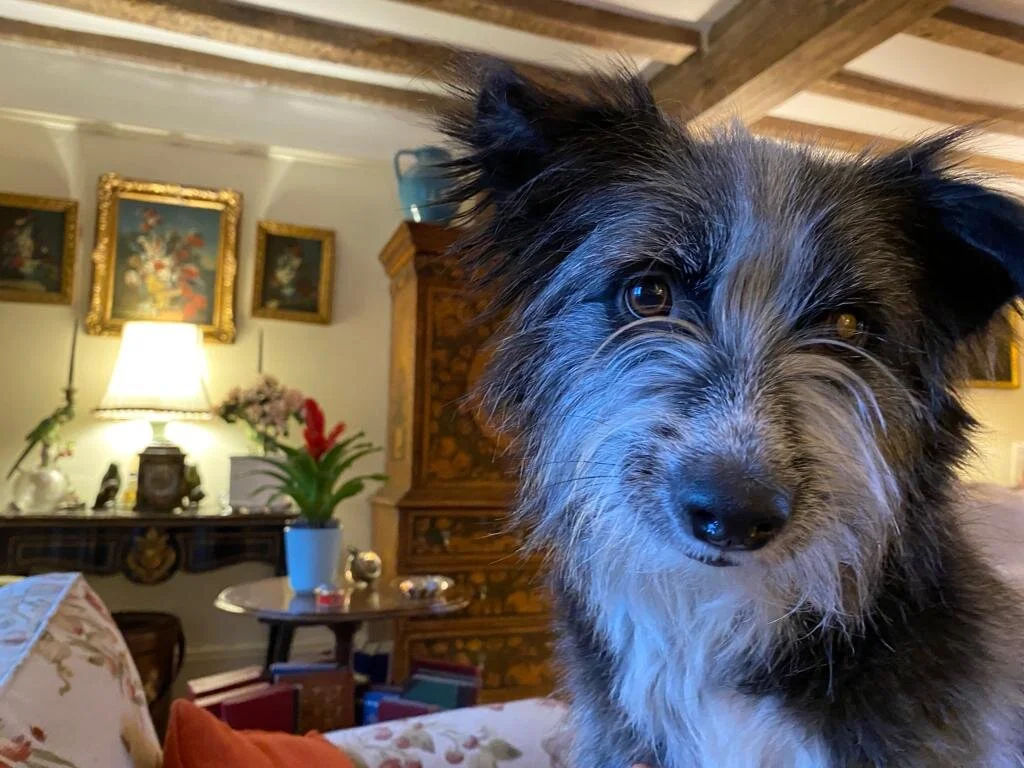 B2F1272B-F222-4C9B-873C-02F22A019FAE