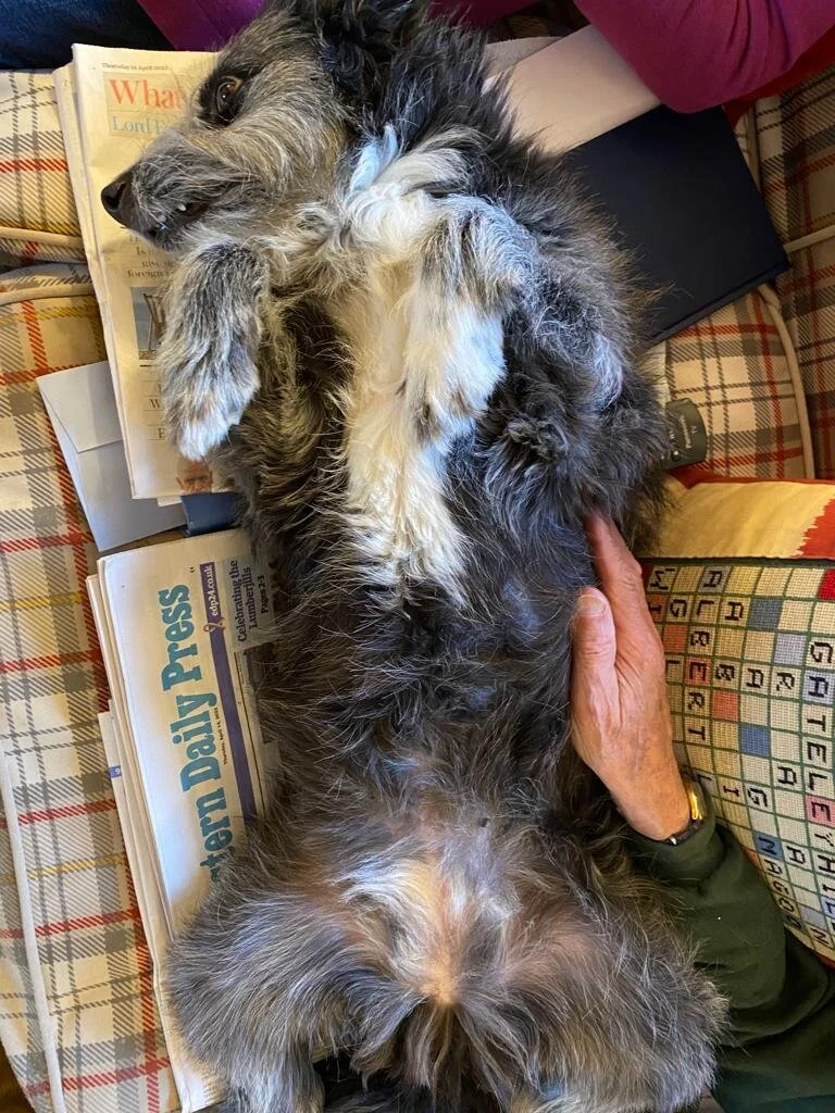 11842D6F-66BC-441B-80FE-82AFB3D6D71F