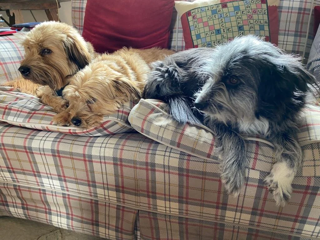 ADC72402-AC26-4DA8-9B2F-B9234A1D710C