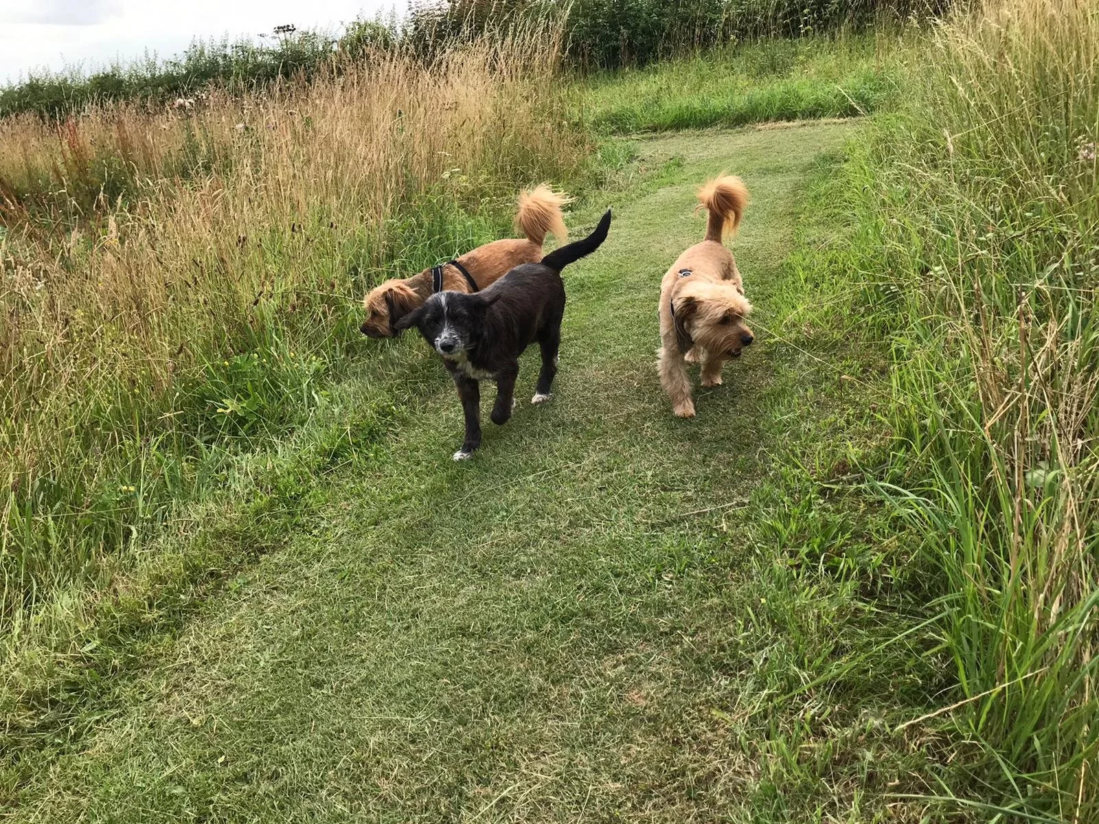 244A63CD-5E94-44FC-8E62-E6D03FF105FC