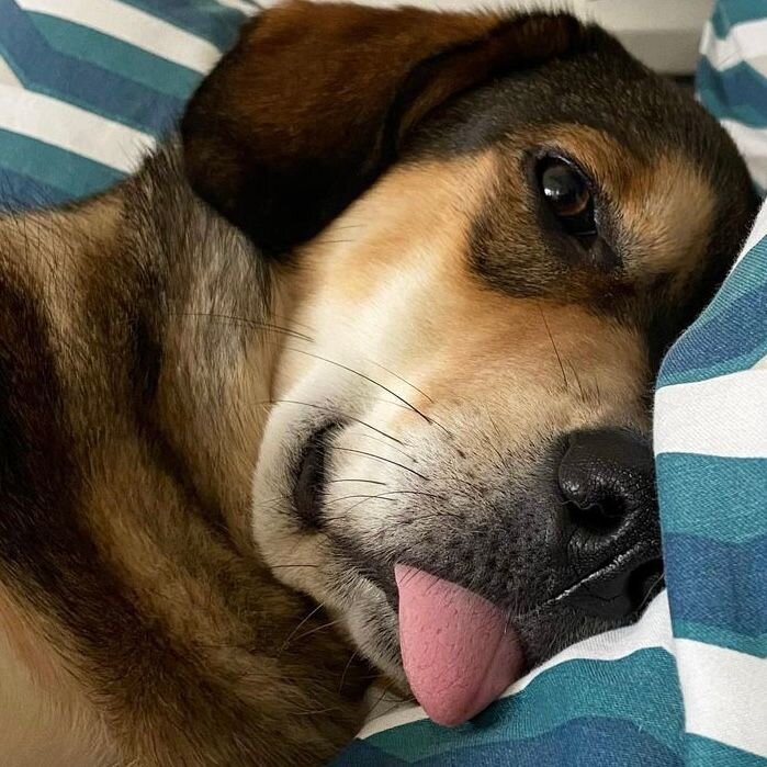 927B6A04-8130-4A8E-B960-8BF655123ACB