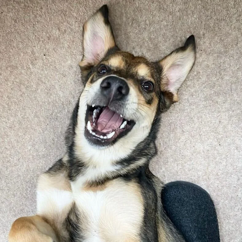 D1FA6312-AF4B-4455-8046-248241E8717E