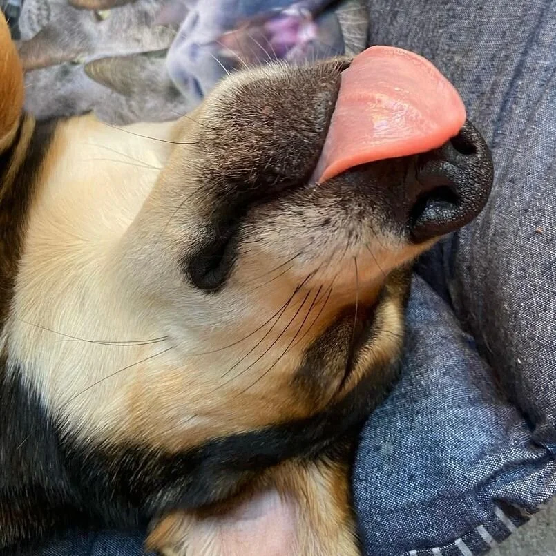 83F6515E-7D91-41F2-B8C2-34901410B209