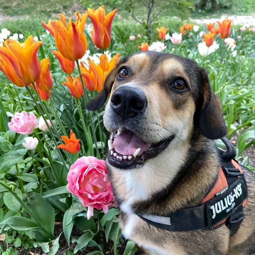 4B398124-D43B-4728-BAE6-6638961F2A6F