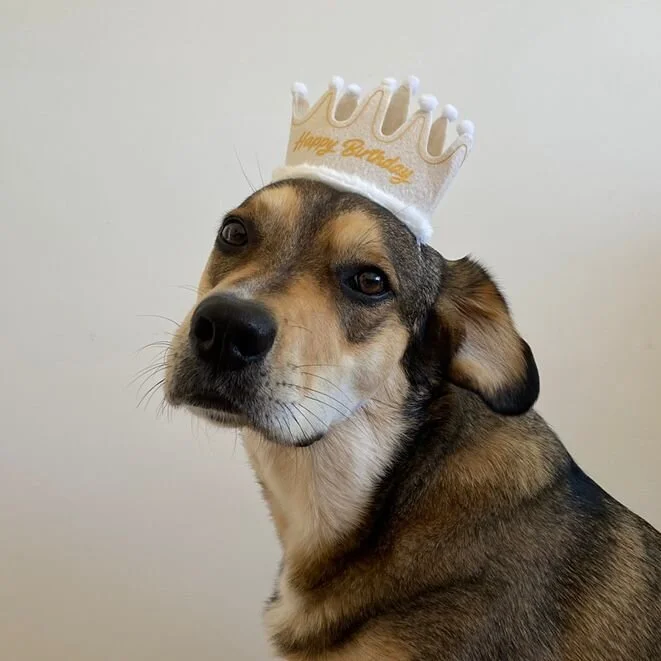 DE7A4F9C-FAFC-48FA-A9C9-DF82F8CF25CF