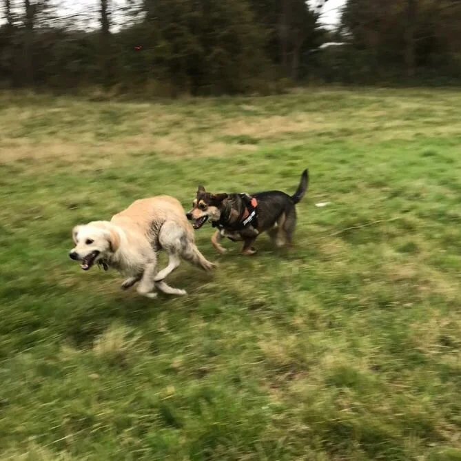 7E49FDD6-759A-41DA-9178-350D75055E13