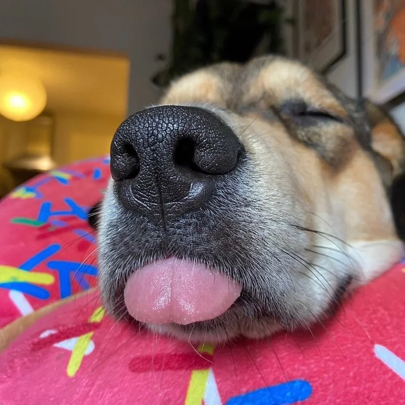 DA9D9C60-D0EE-4841-8DEF-B2BDA6556271