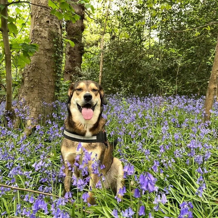 184AE5A5-E8B6-4A14-B3F0-B7916C32094F