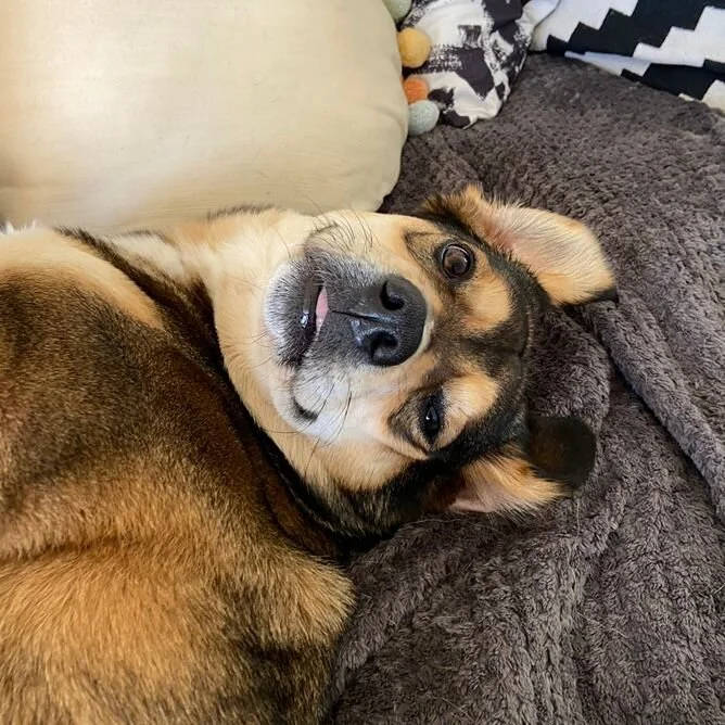 A8FF15CE-9F5C-42FD-A633-FFABE269EB95