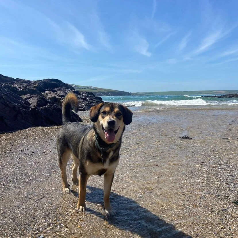 FC2DD15B-CC56-4FD5-AB17-DFAA996DA8EB