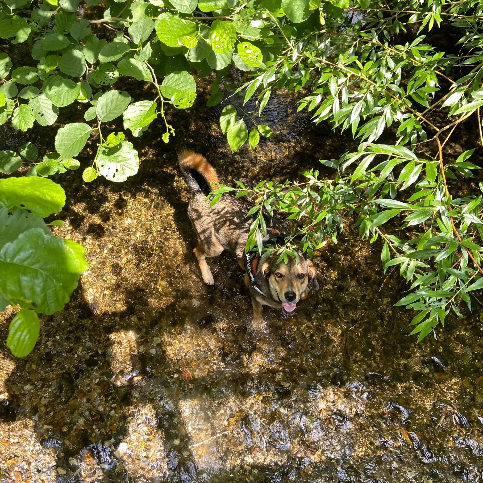 4451EA9F-E57C-4376-9B0A-DEA719C3B59D