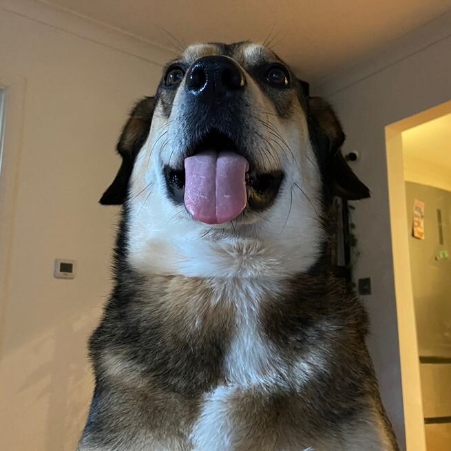 C2B70589-24C4-4E1C-853E-A36E4829C679