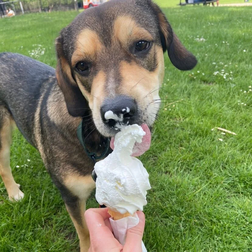 0CDC640A-8B1C-40D3-AFFB-22F6C74E040F