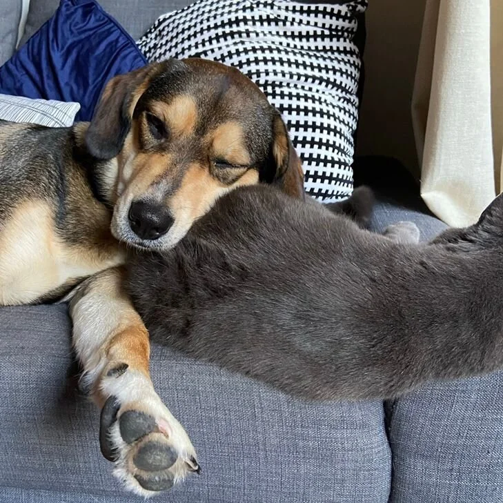 121EB021-C104-40A9-90BB-EAF8004D0DBE