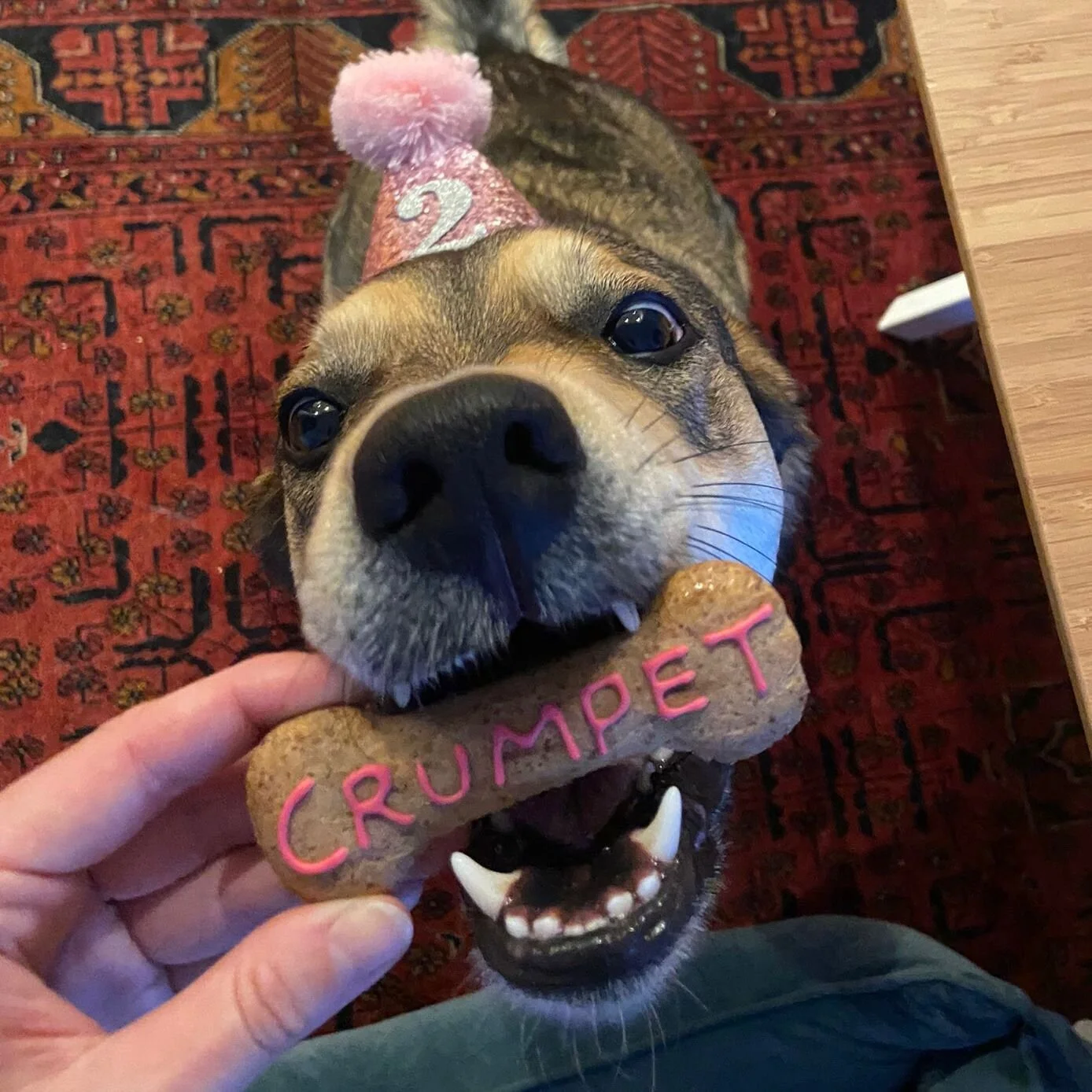 2755BA7C-6D89-414B-A75A-0F23D4CEE284