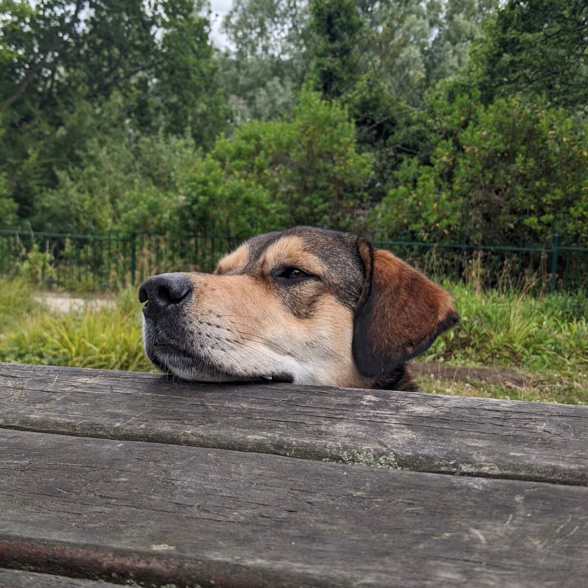 D669DF97-15CF-4254-B7A2-061538EE3728