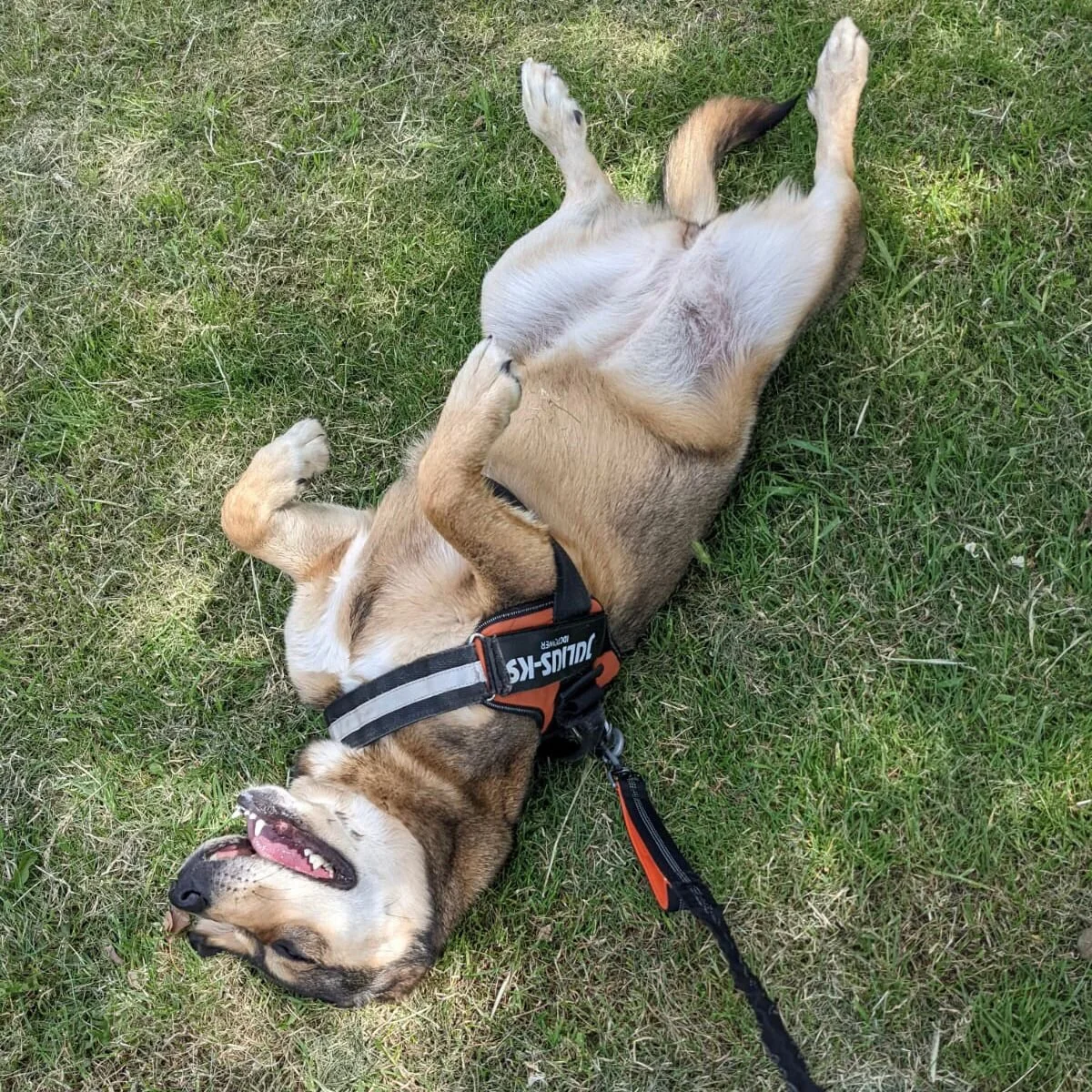 9F08D8AC-6B6F-451F-9C2D-5667A472C51A