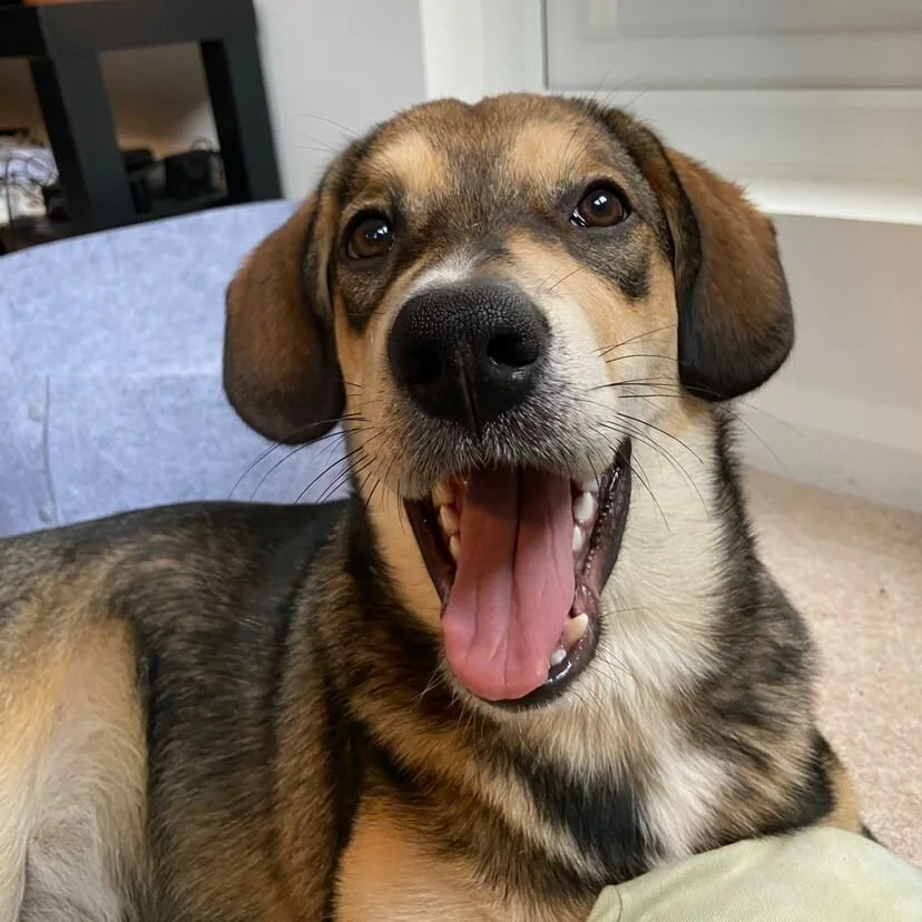 67DF0076-272C-484E-8F90-6B8C12ABCE5A