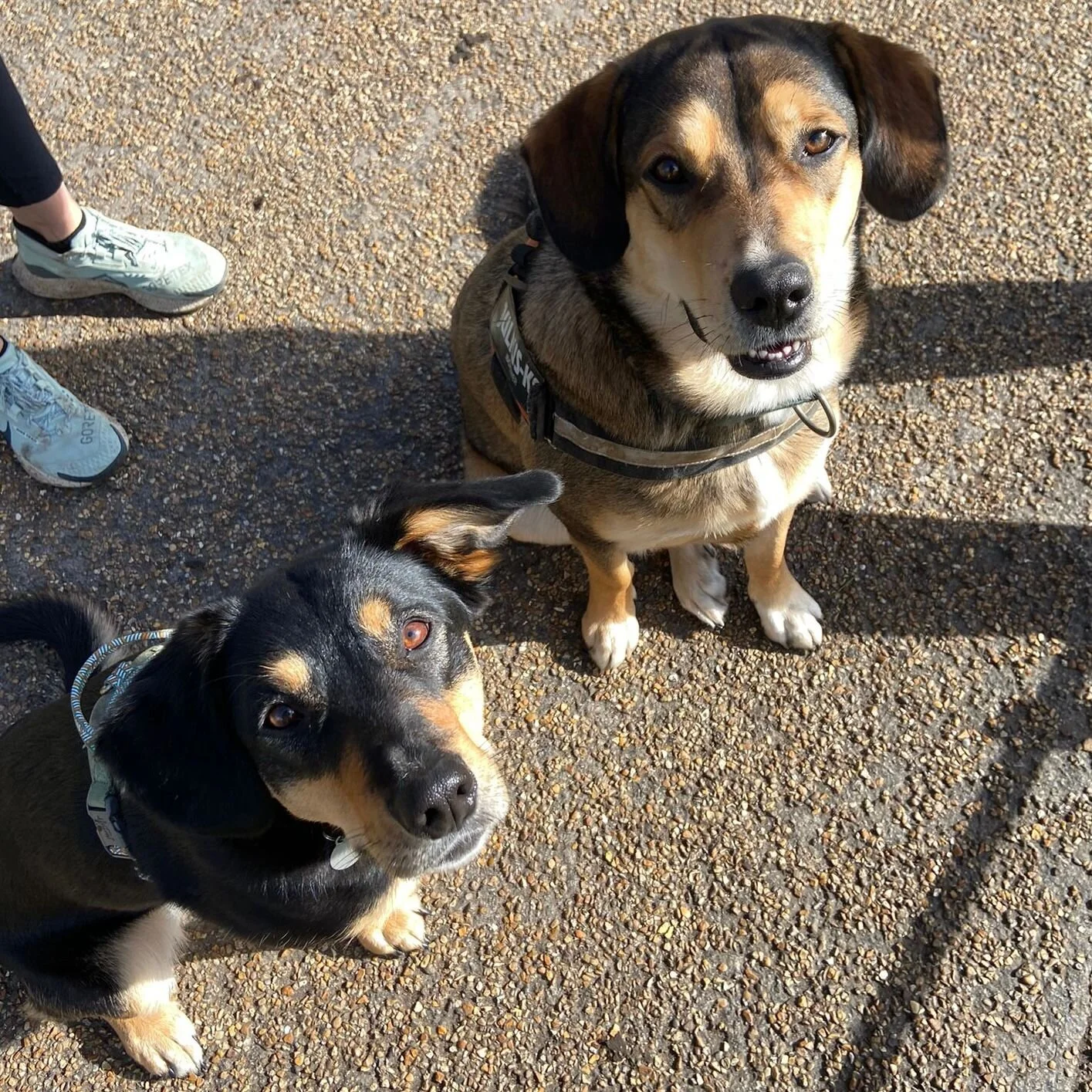 9BE8094F-1642-40C4-8231-2B93ED01F446