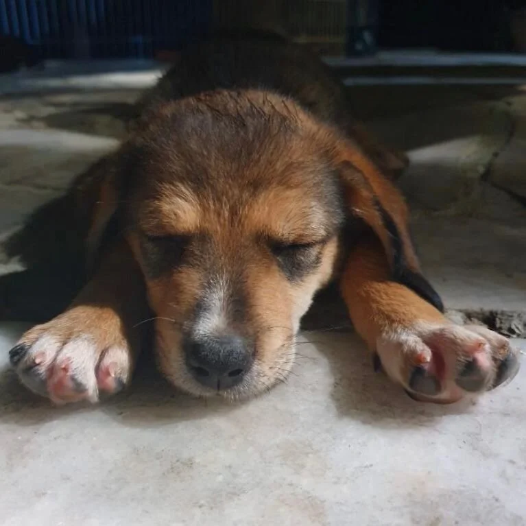 F4942F9C-5393-4926-B18A-69B378AFD0C5