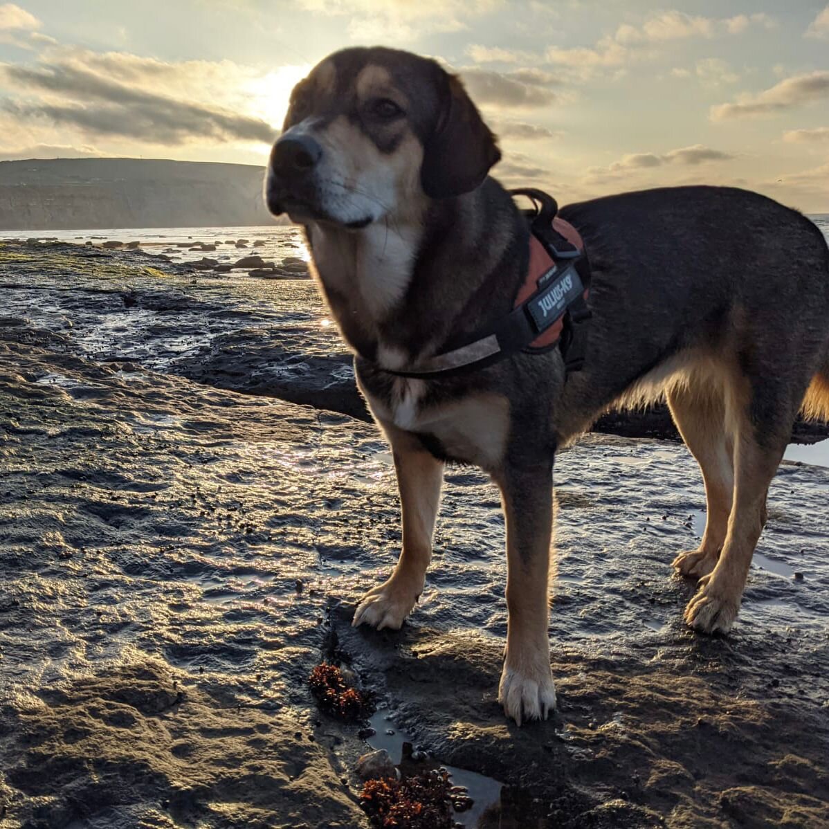 6CFD1BE4-D05C-41DD-AD28-317D8CD13089