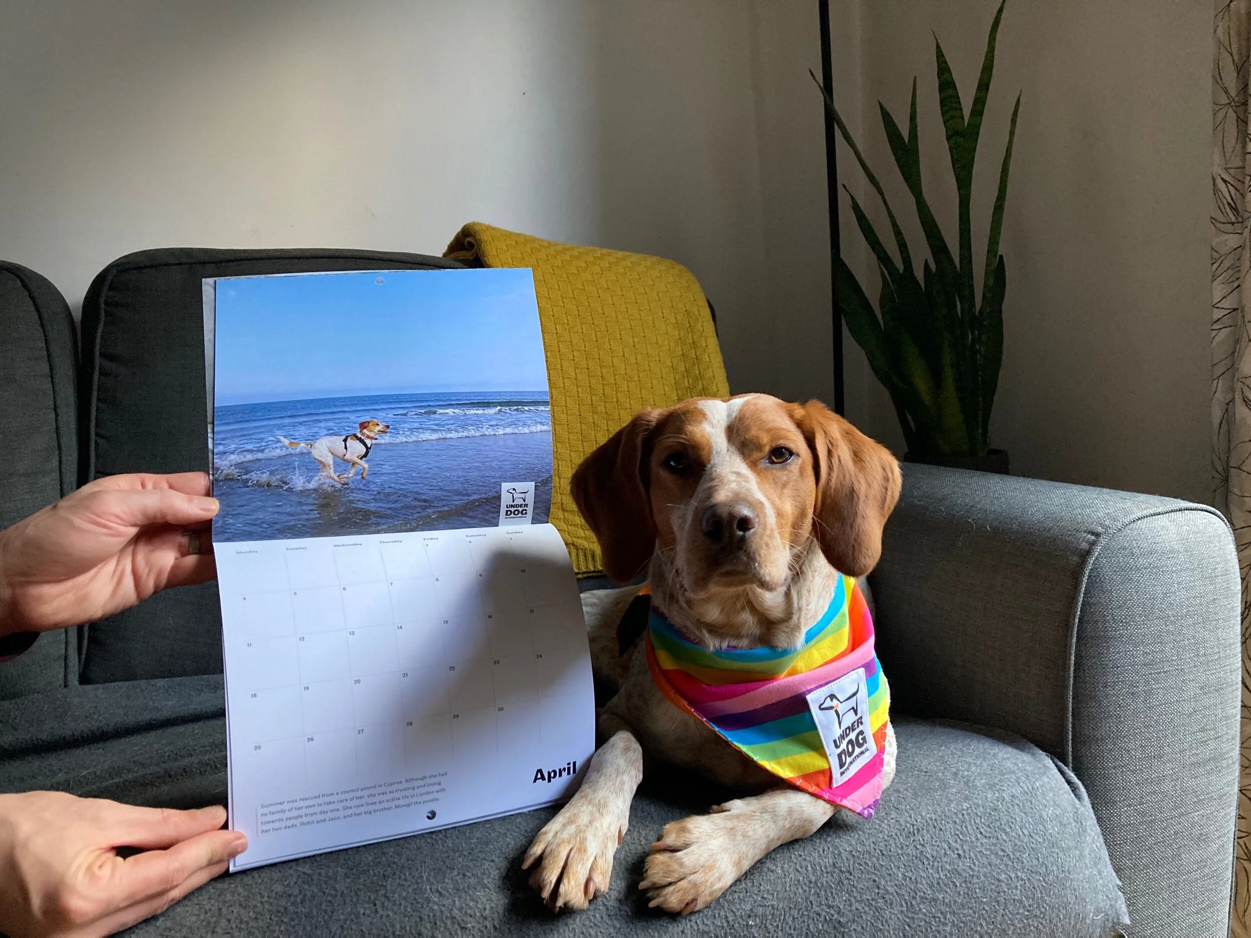 05CBB646-02ED-46C6-B9E8-E3E5503685BA