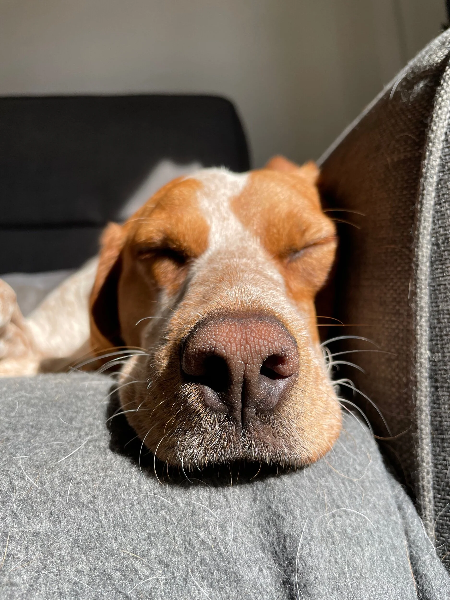 0EAF0747-8E7B-439A-8079-2516388E8DBE