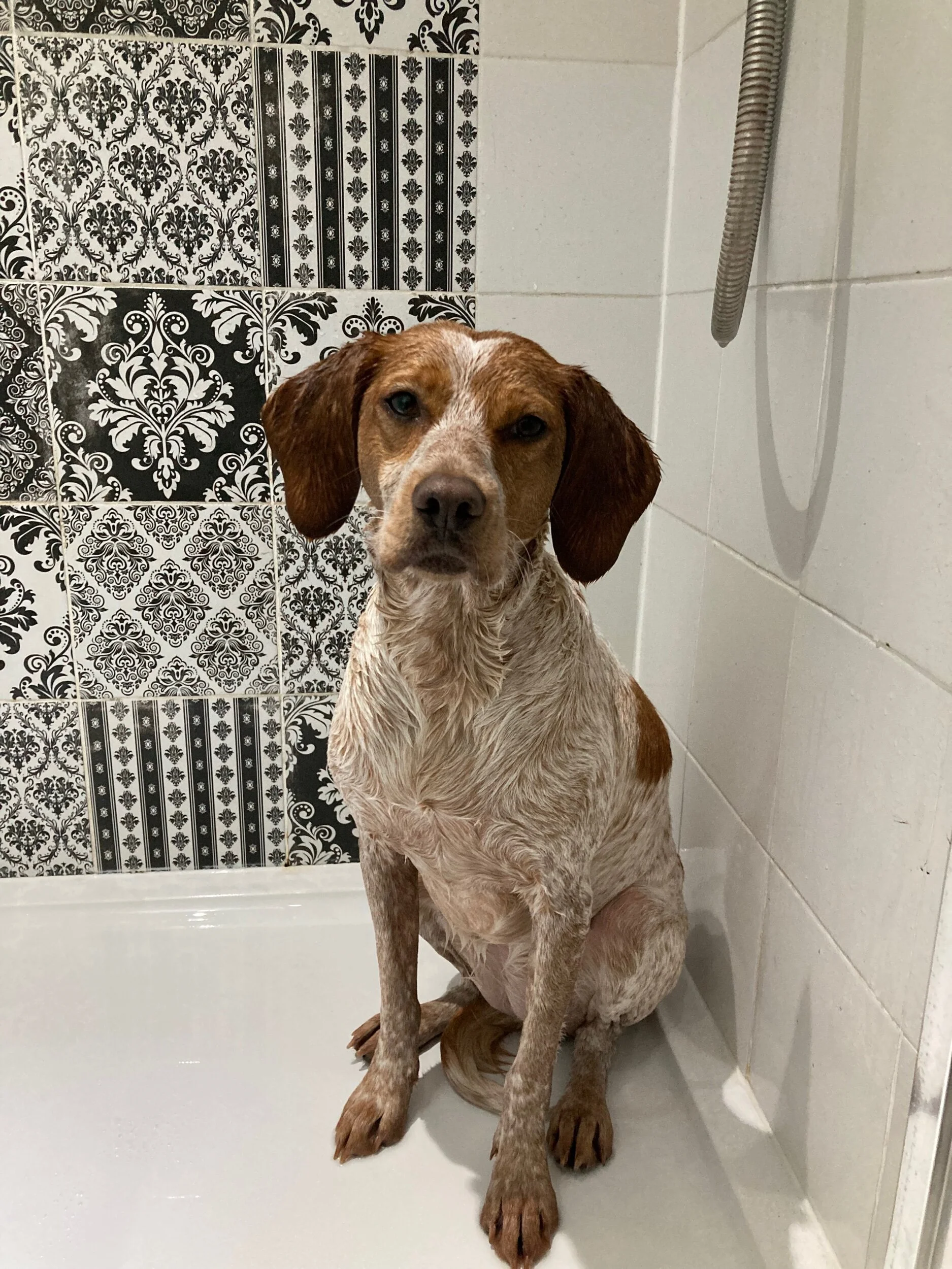 D9DE2F5A-9EF3-4465-8019-69AF03137896