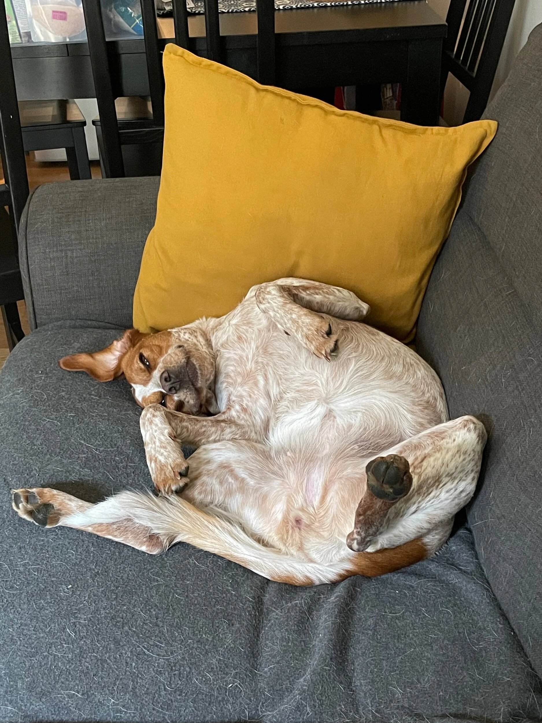 41676A54-BEB3-4701-BF26-D6A2EC454667