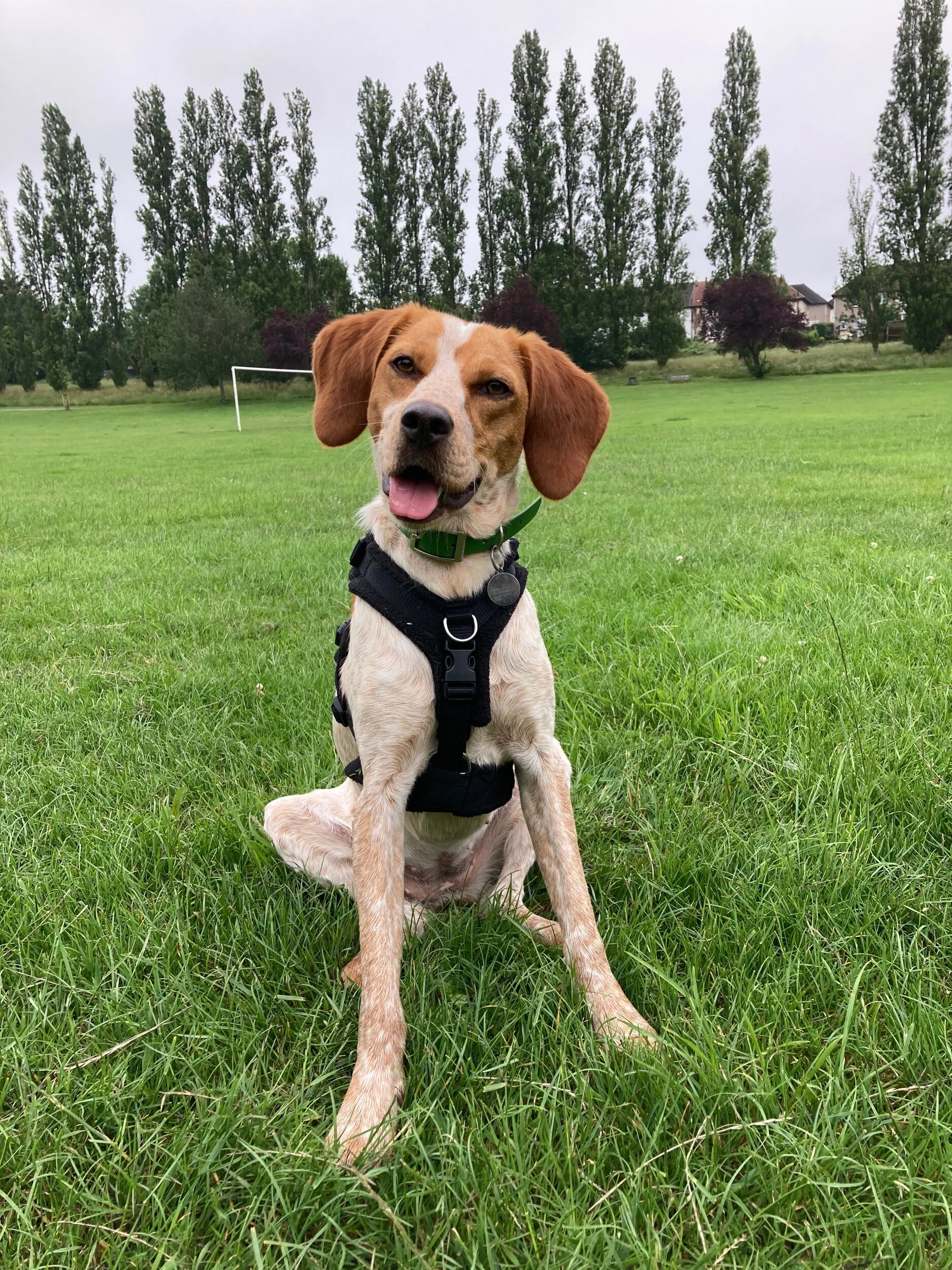 977B7EE5-D8EF-4C33-A1DB-31E963938595