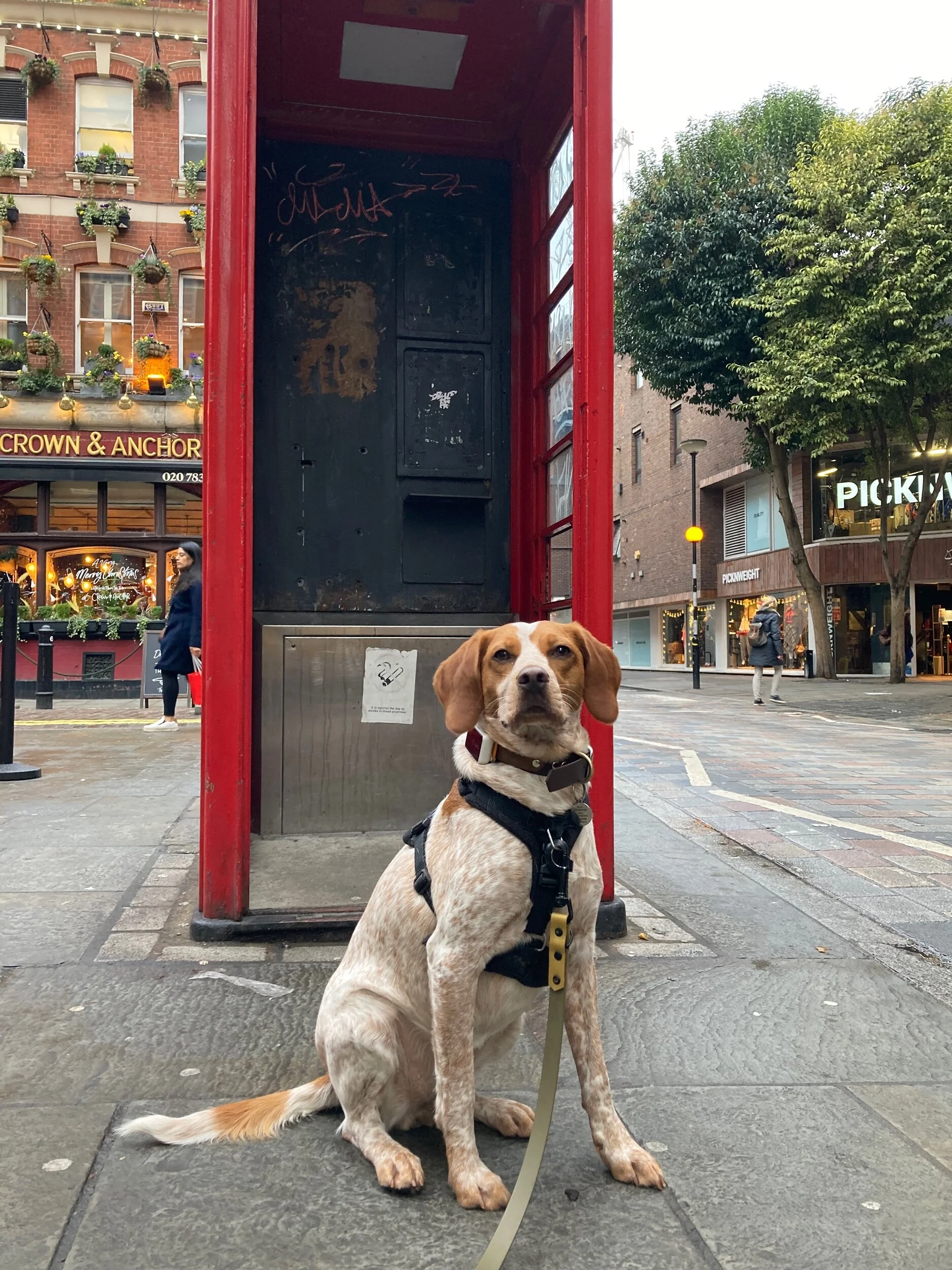 F555755A-B4E2-4185-B034-B638A033B90B