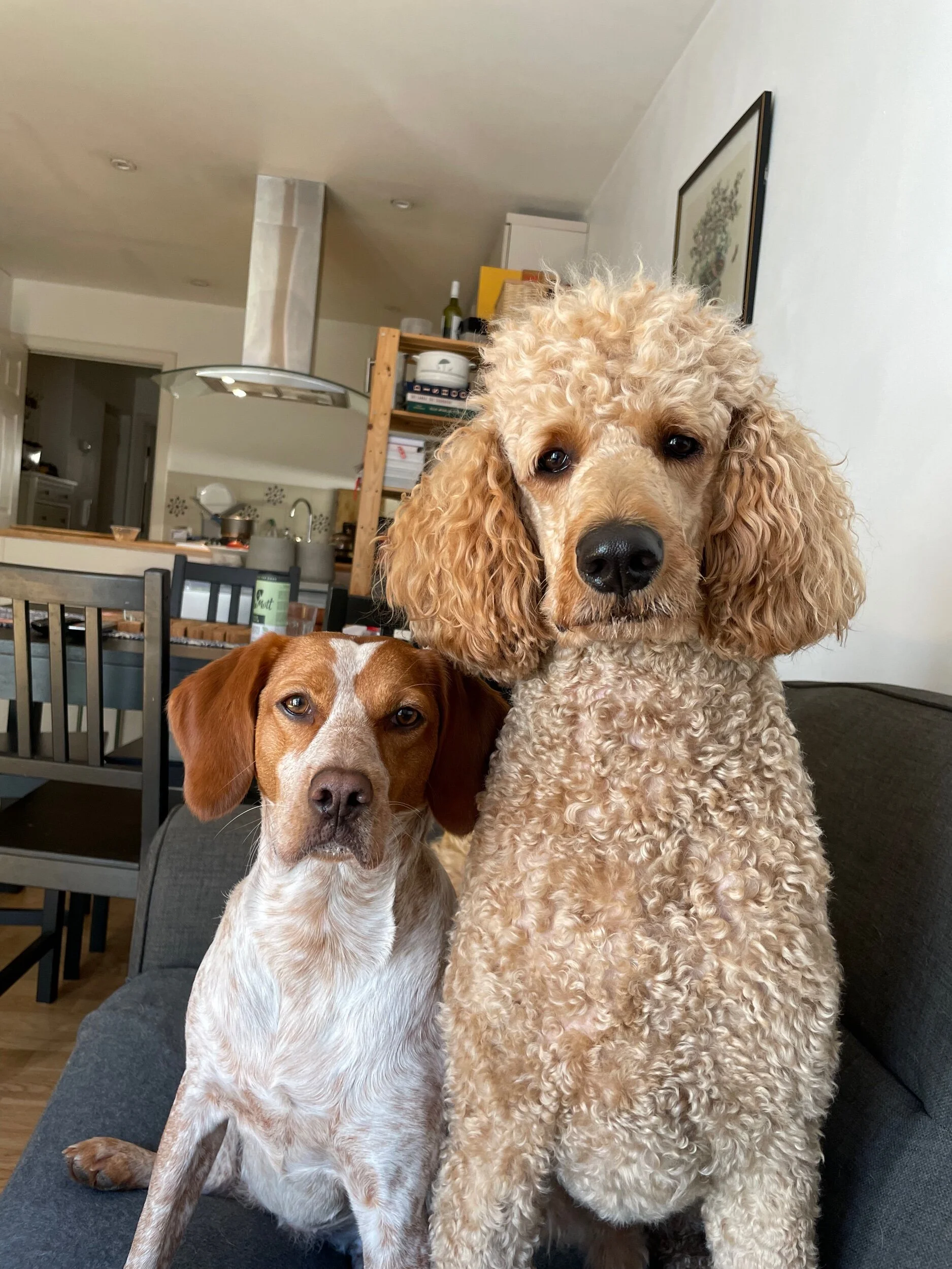 F42E6CA9-4D03-4DFE-B6BF-D28C22D7074A