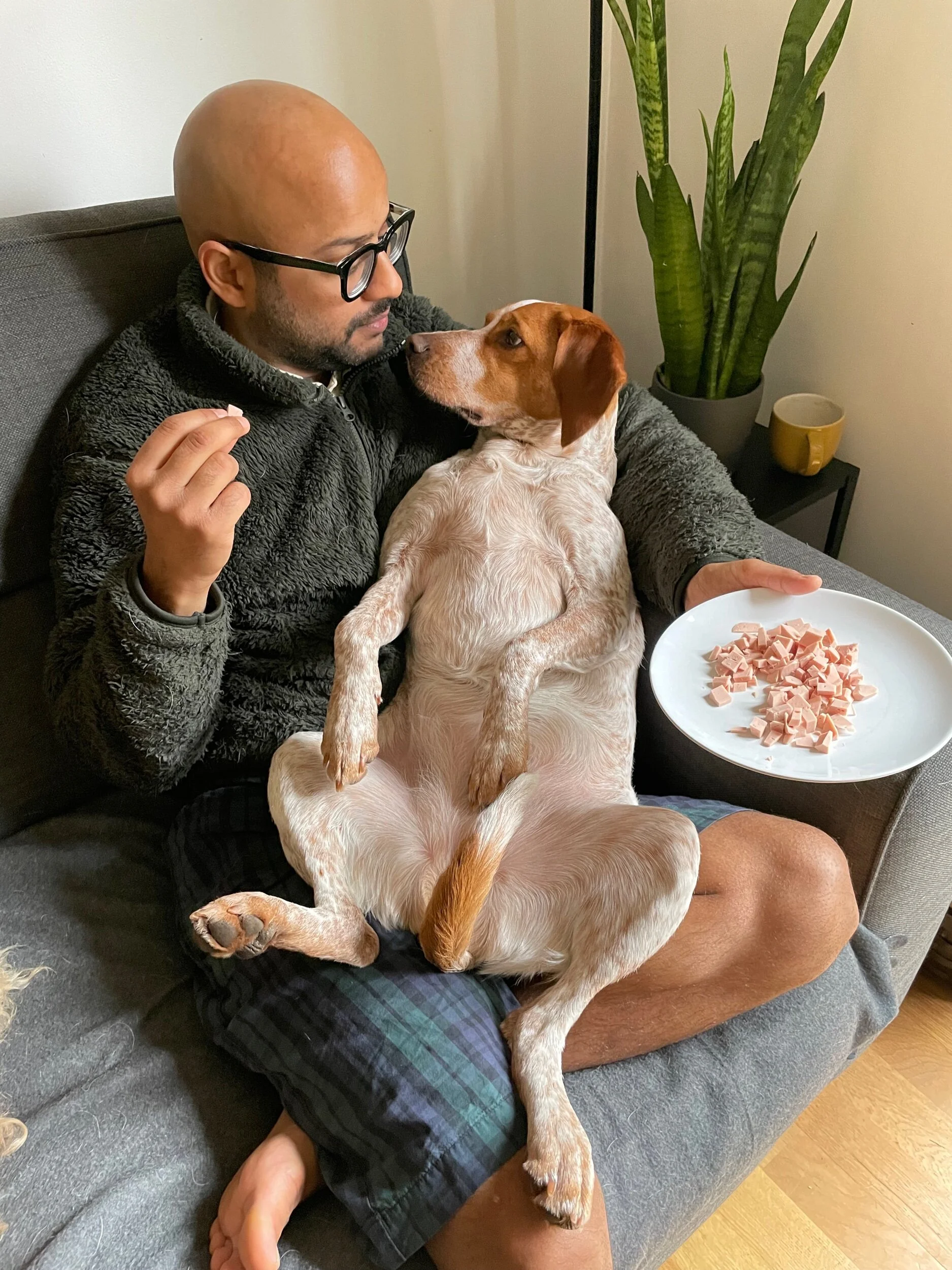 CE3222E9-29FB-4761-8B44-BFDF62153D26