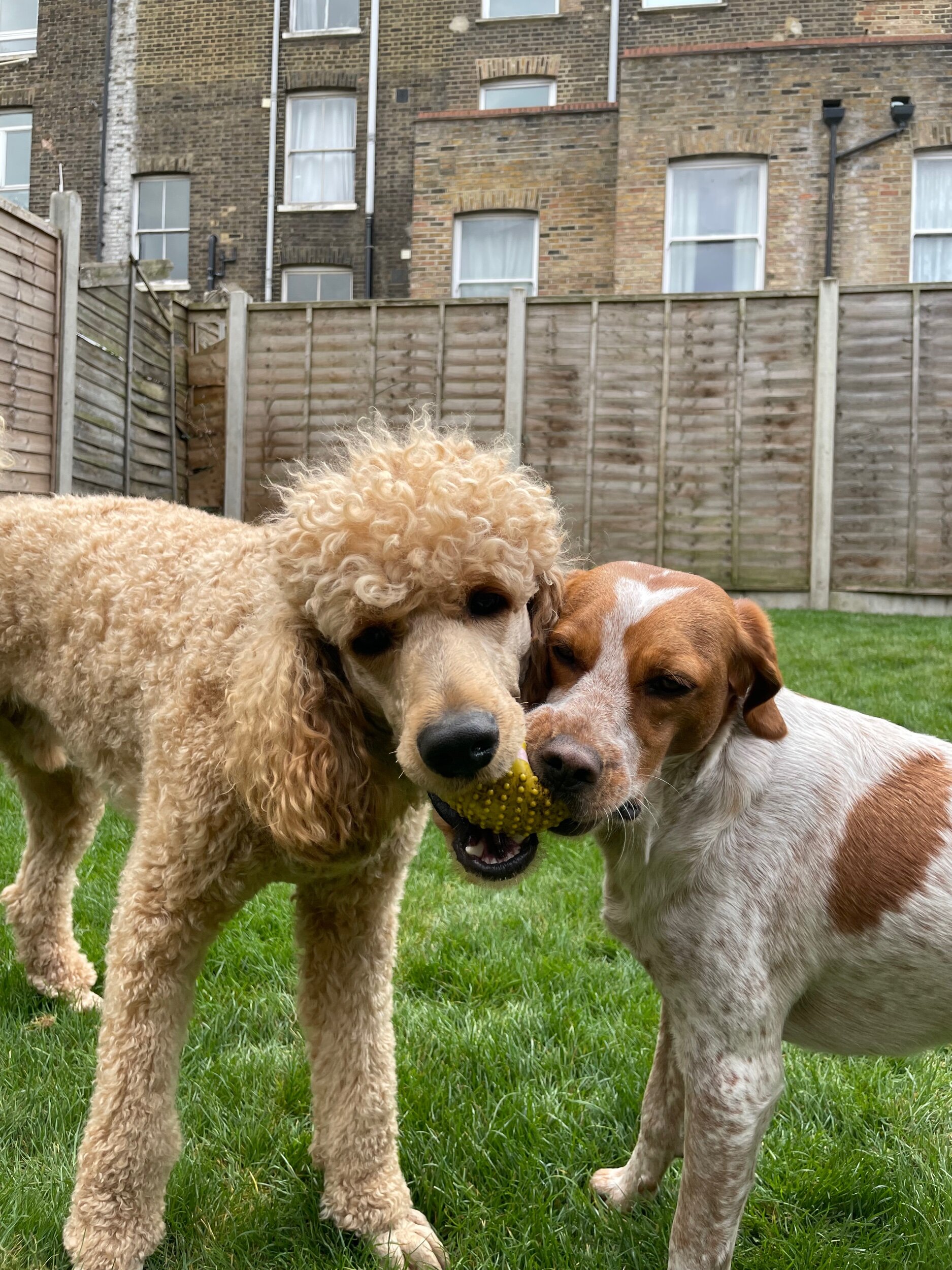 C2668672-5DC3-47A8-9521-E1ABEB3E6582