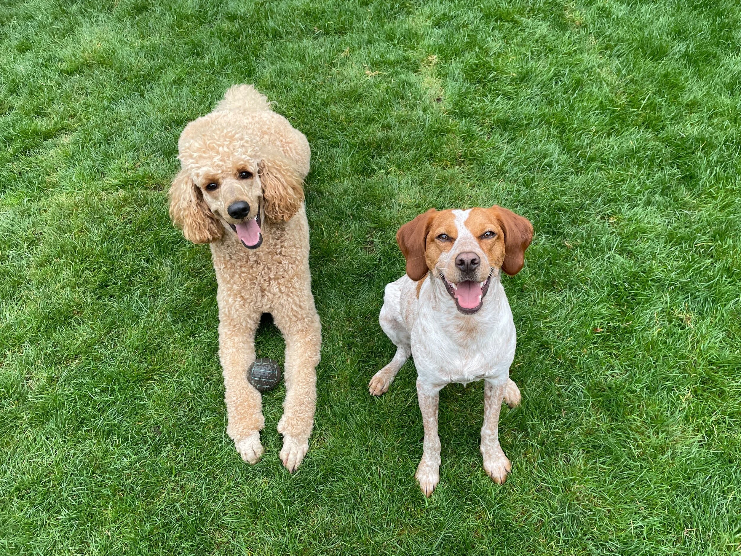 26AF0AE5-133A-4D24-8935-D3826D3D2A06