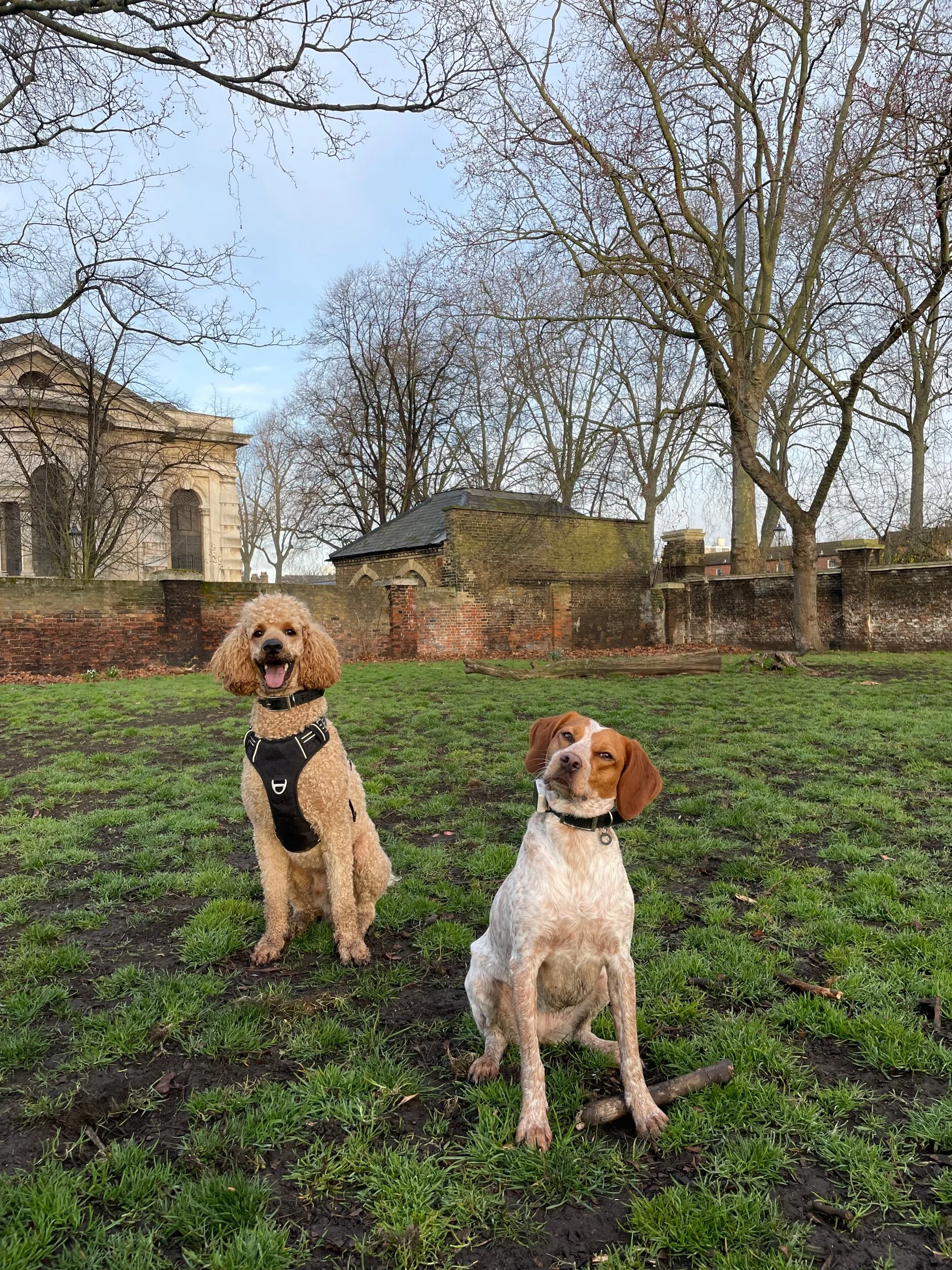 755AD2B3-2BDD-4AB3-AFC4-902F27388881