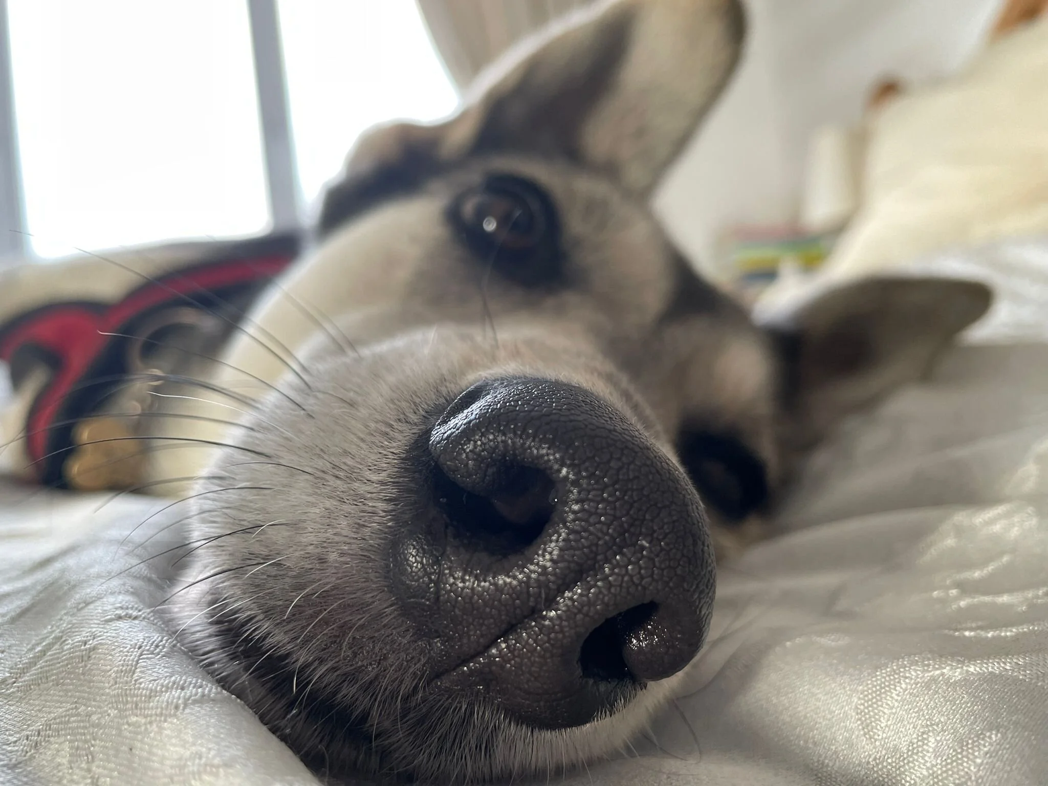 3CBD9294-DAA0-4FF6-A827-CF57AA62CFBC