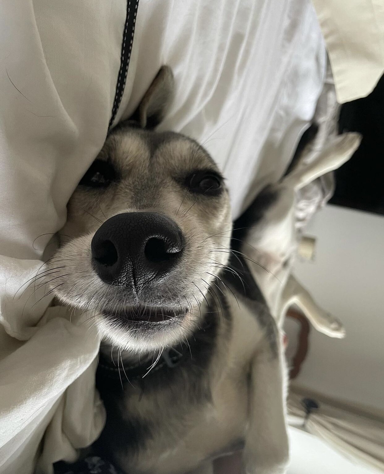 3E0C306B-B96A-47D3-A761-77468CDF574E