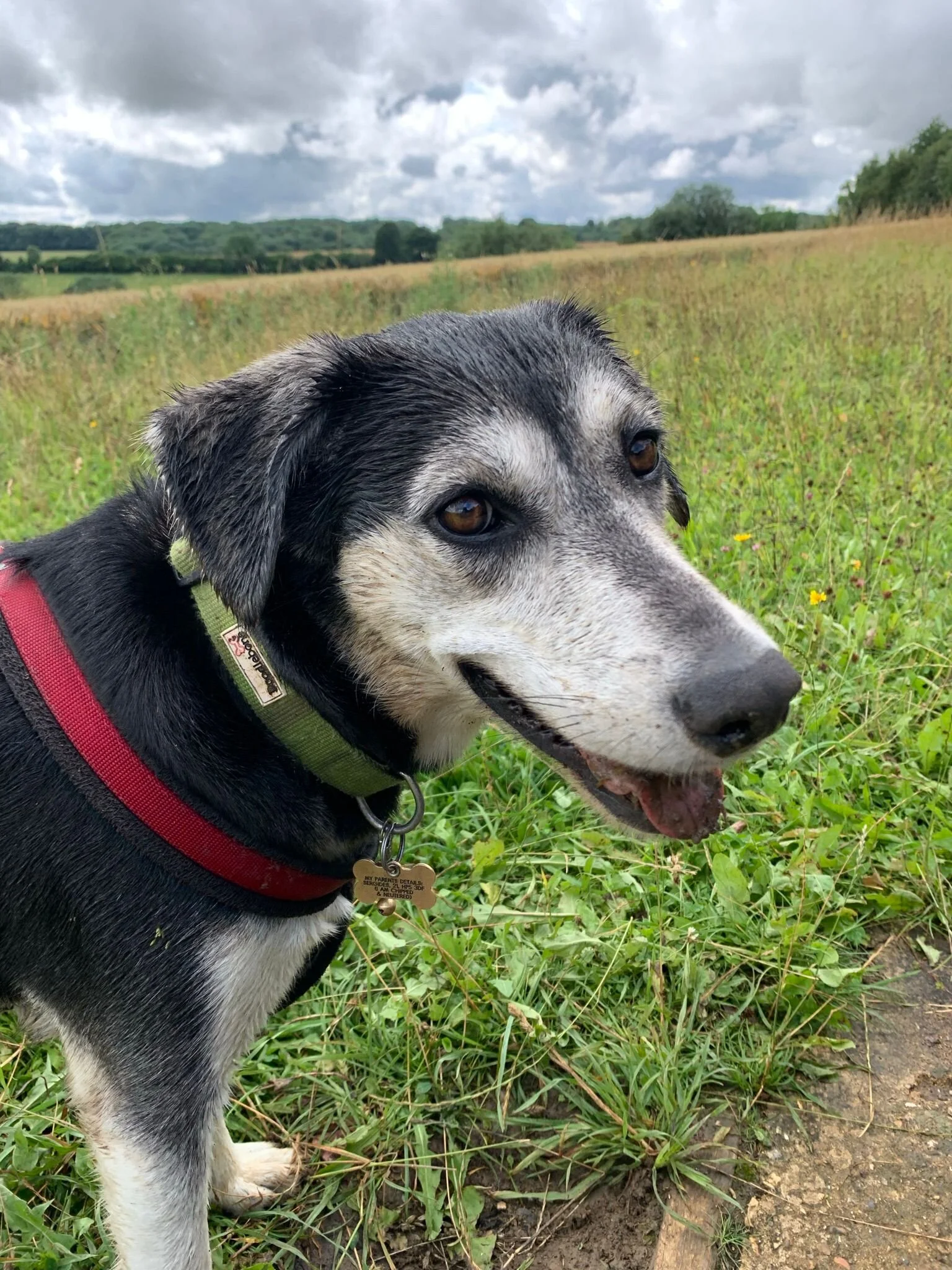 A512BD5C-516A-4B0F-8F53-1527057FB1E4