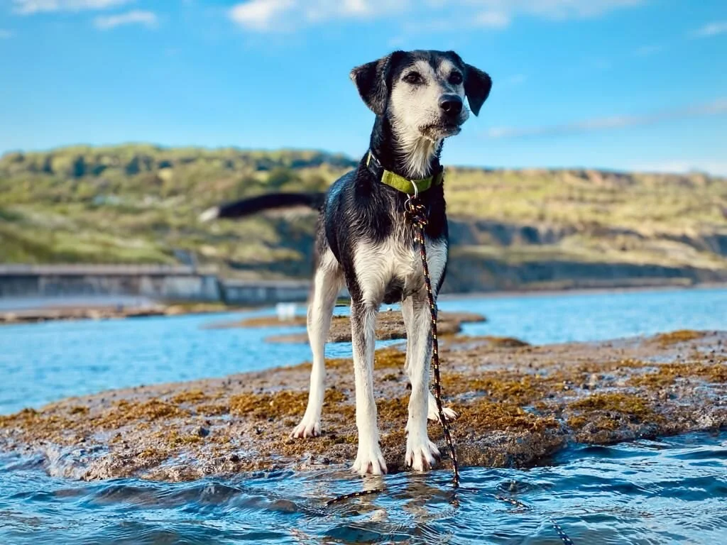 792D0509-0F78-458D-8D64-0BF4AD15ABCF