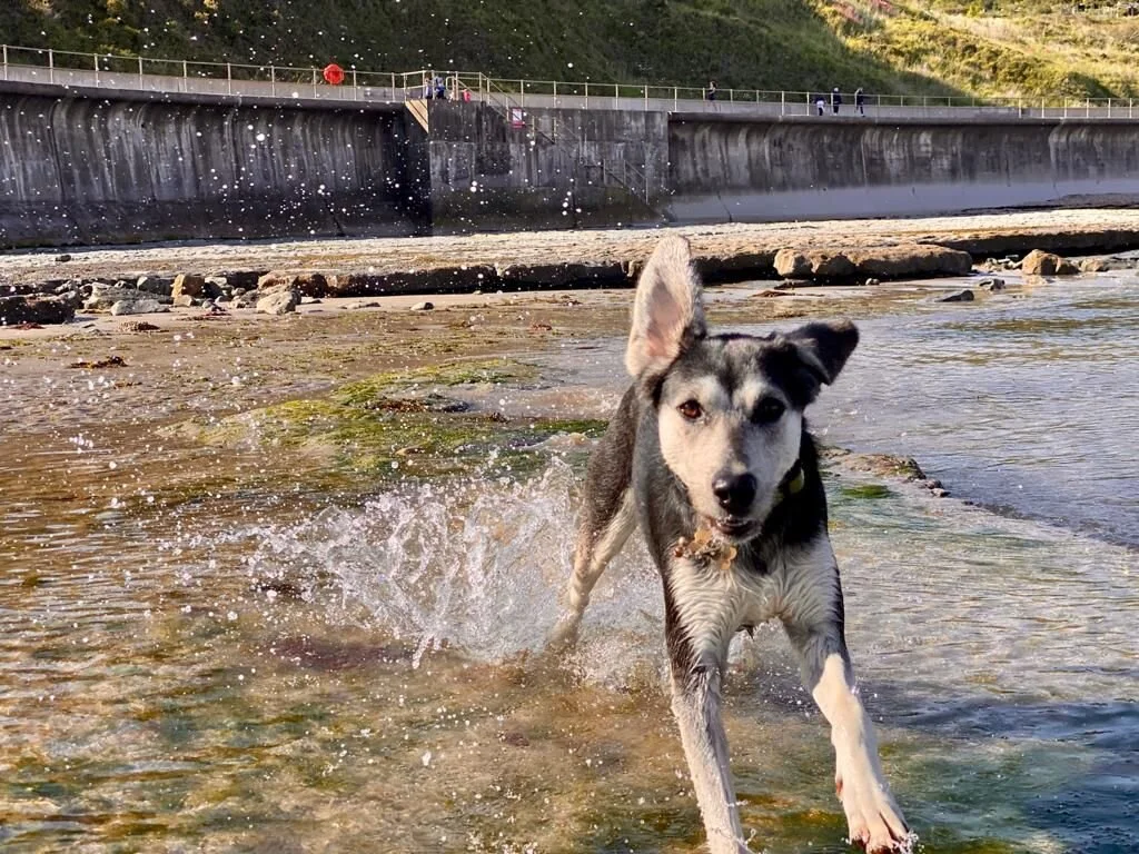 57DC301E-6C72-4CBD-9207-CCCE99BEA741