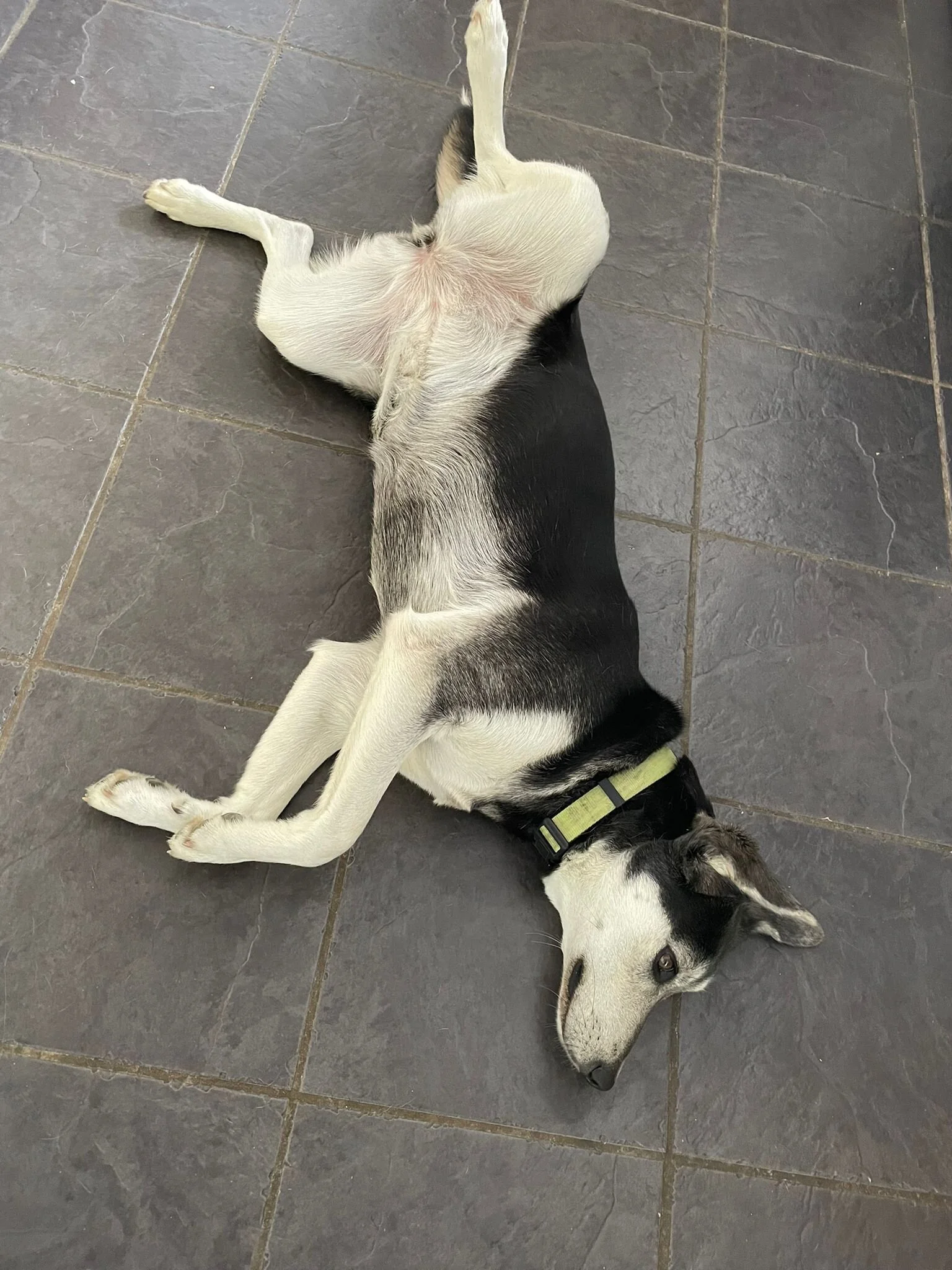 86AE73B2-CE39-431D-BF02-5A1E139CA535