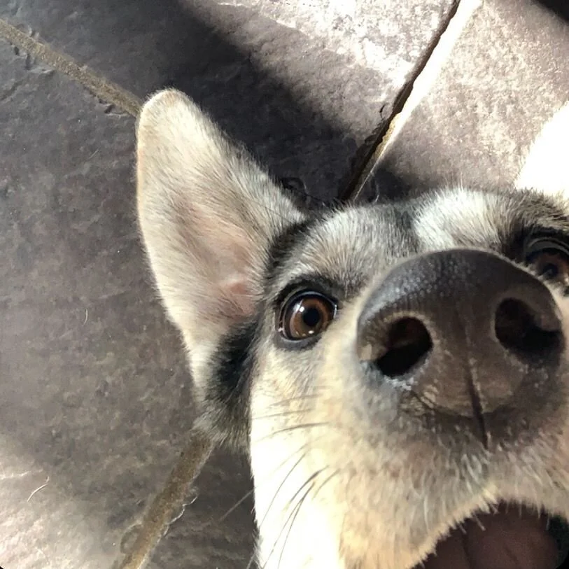 9E390B91-E77D-4294-8976-A9DD8E7FC86E