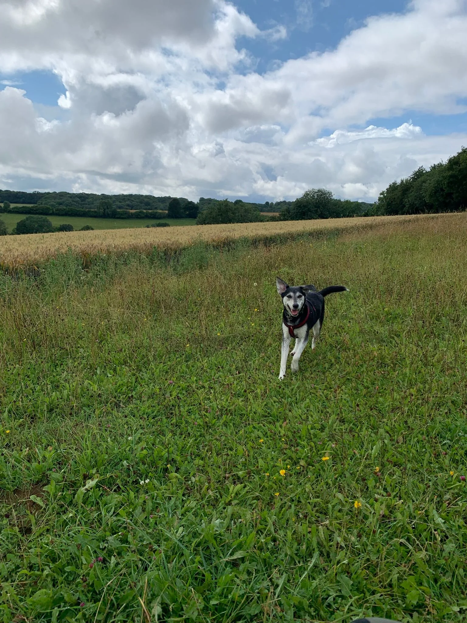 5F7CF07A-18AF-49AA-B123-999526F2216A