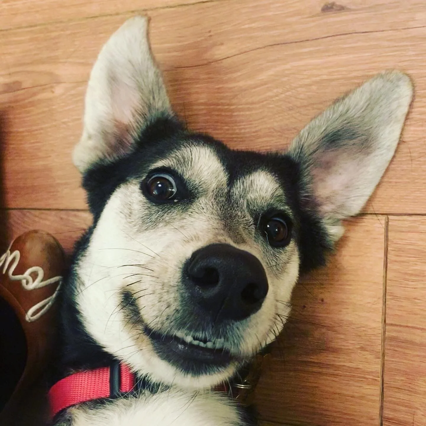 19DDC630-5B6B-47B3-988A-4803BF77746C