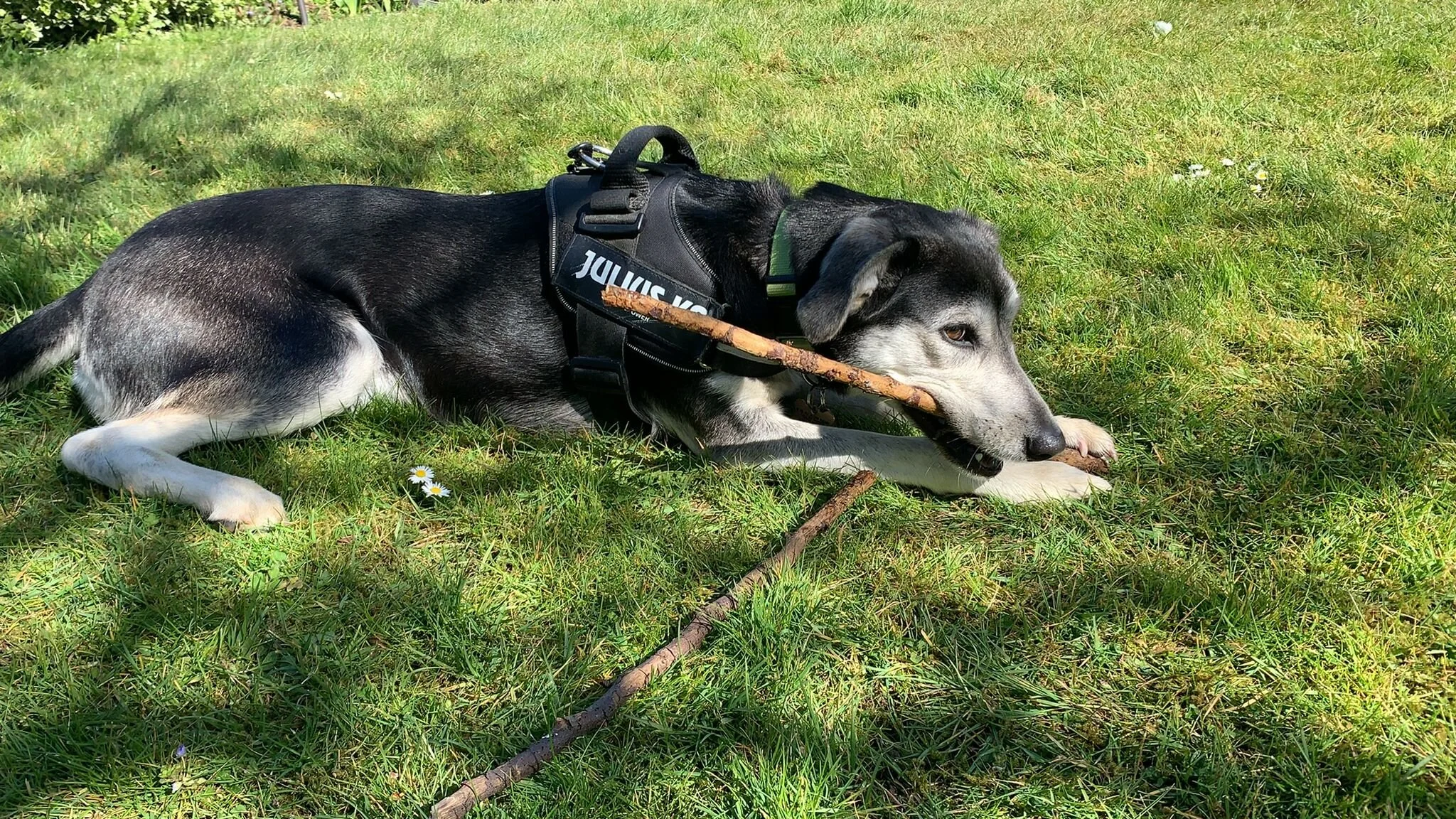 2907A729-4BA6-4040-9FB6-61C48395309C