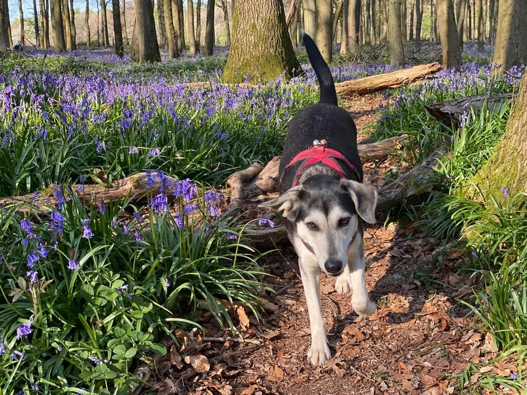 C569C44D-CA59-4E95-97FF-05F5761C8975